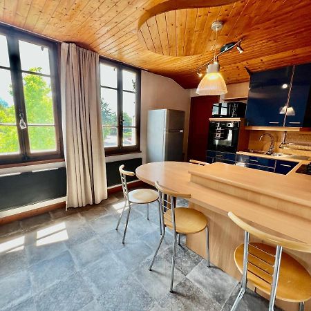 La Branche Du Cerisier Apartman Annecy Kültér fotó